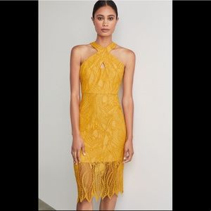 BCBG Crisscross Abstract Lace Dress